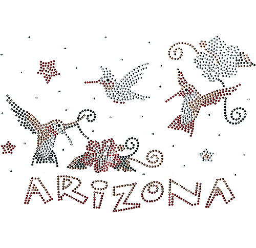 S101142 - Arizona with Hummingbirds