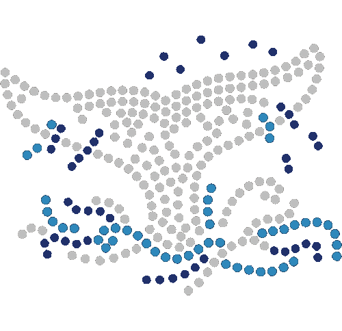 S101617SM - Whale Tale - Small