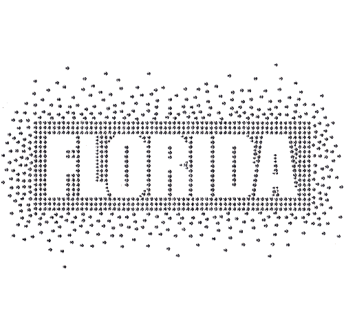 S2563<br>All-Silver FLORIDA Splash