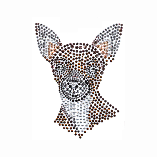 S3648-CHIHUAHUA DOG, DOGS