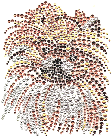 S3651 Pomeranian Dog