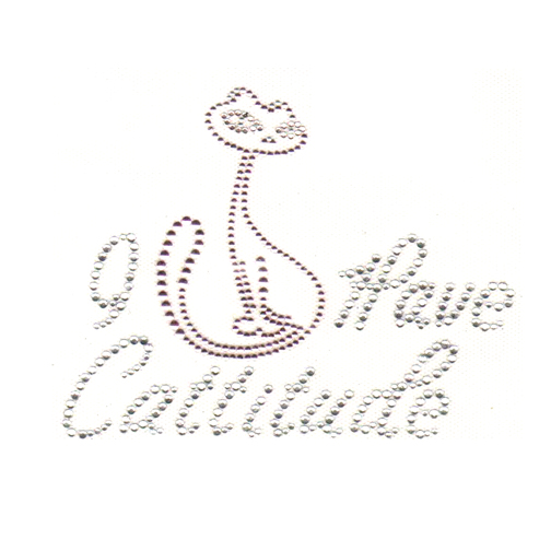 S4664-I HAVE CATTITUDE WITH A CAT CRYSTAL & AMETHYST STONE SILVE