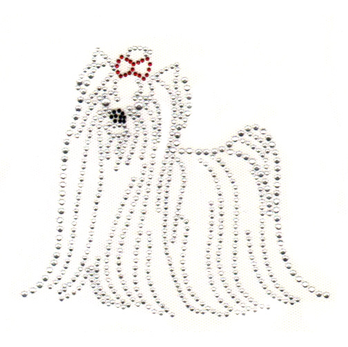 S5036- MALTESE, DOG, DOGS, ANIMAL, ANIMALS