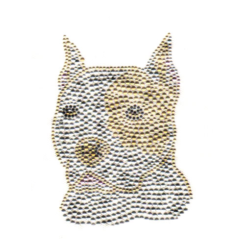 S5319- PITBULL DOG, DOGS, ANIMAL, ANIMALS