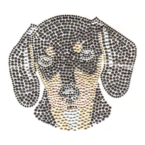 S5323 - DACHSHUND PUPPY, DOG, ANIMALS, DOGS