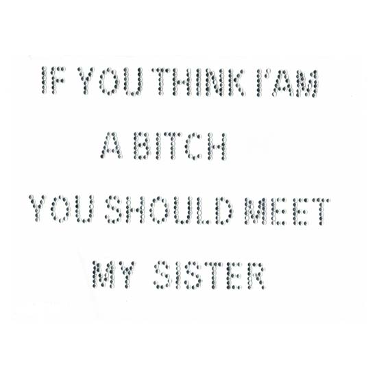 S1569-SIS - ...You Should Meet My Sister